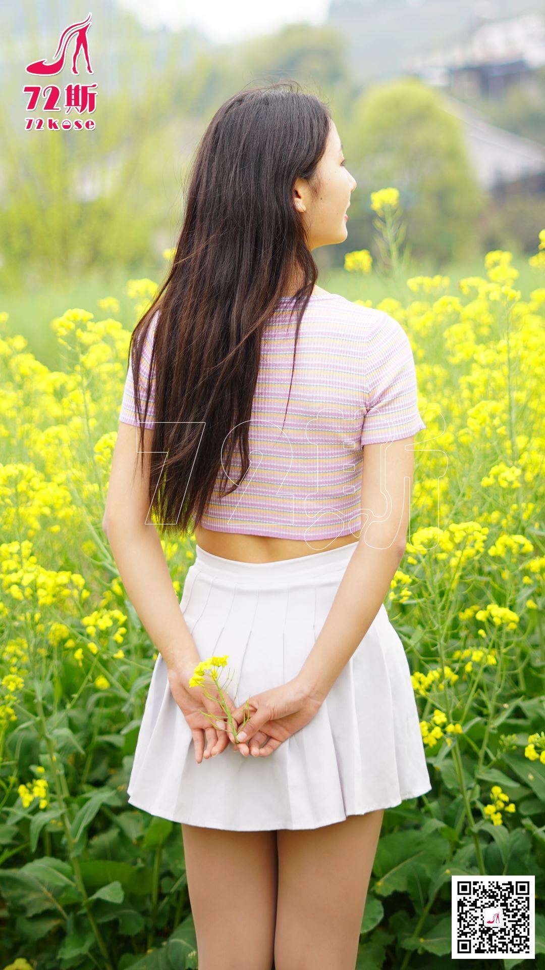 S 13 rapeseed flowers